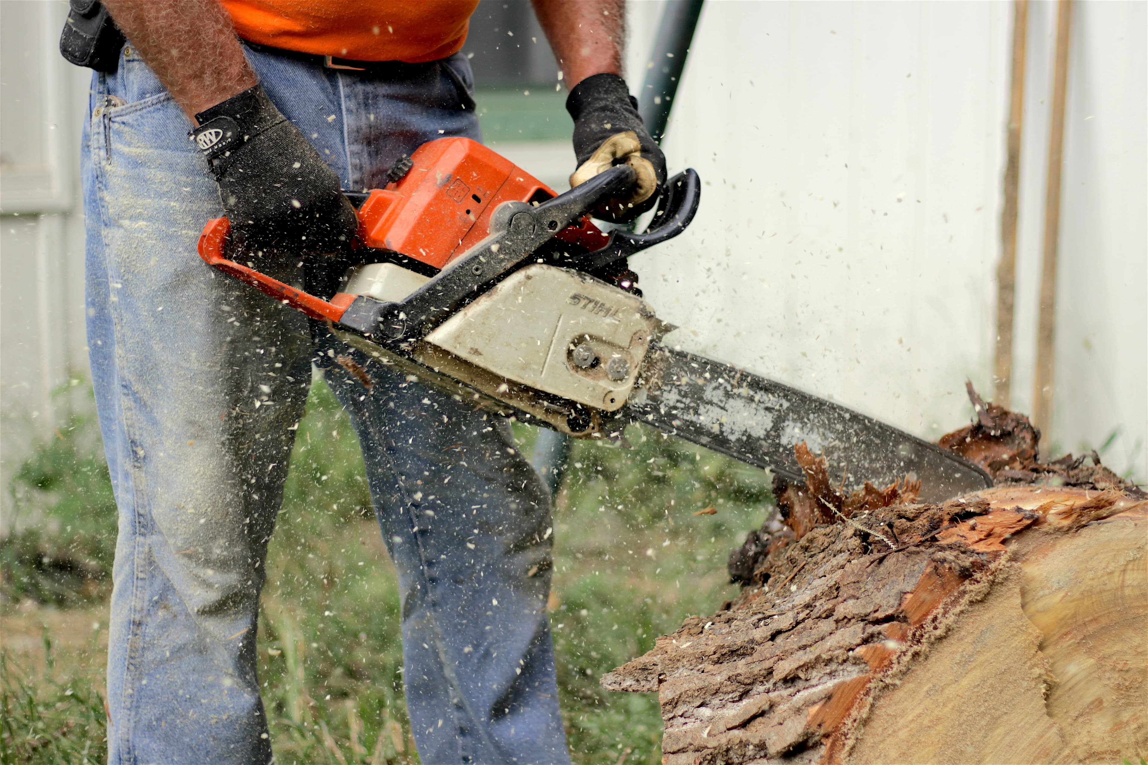 lawn maintainance