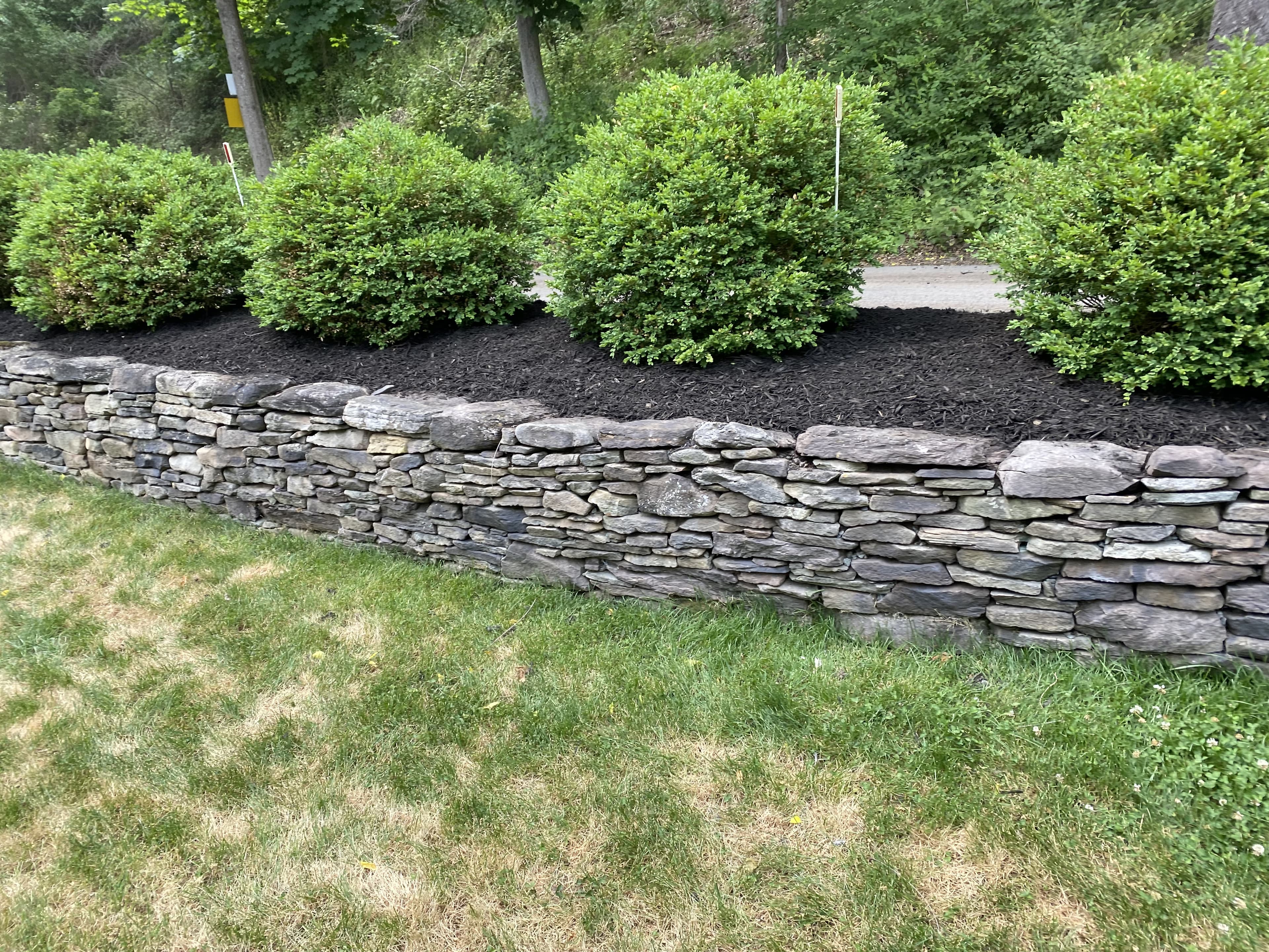 lawn maintainance